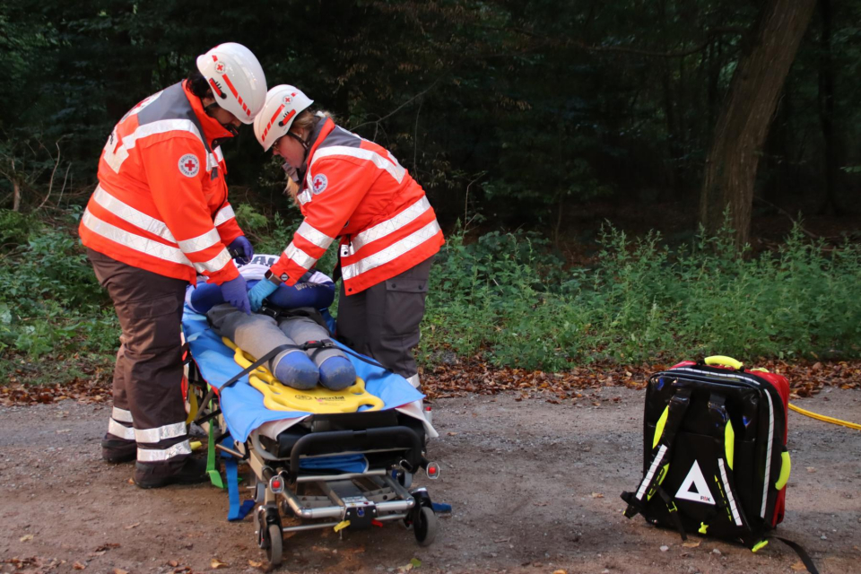 Bild