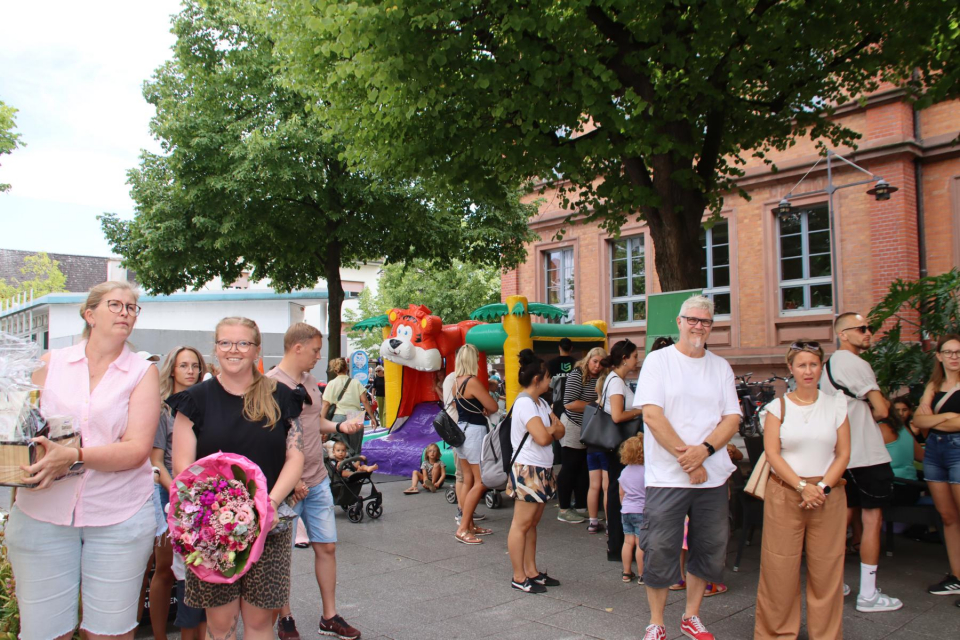 Bild